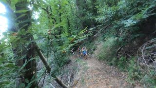 Trail della Filigrana 2019  19km 900m [upl. by Nwahsem549]