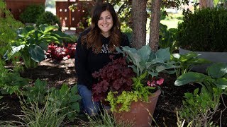 Perennial Shade Container 😍🌿🌥 Garden Answer [upl. by Petite]