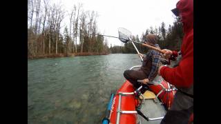 Cowichan River Steelhead  BC Steelheading  RamblingFishermancom [upl. by Ramoh171]