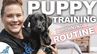 5 Puppy Training WINS You Should Get EVERY Morning [upl. by Irahk]