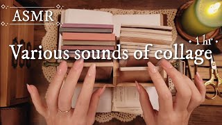 ASMR｜コラージュの色々な音Various sounds of collage｜sleepingRelaxing 睡眠作業BGM [upl. by Aiyot]