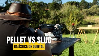 Pellet Vs Slug  NA PRÁTICA [upl. by Lacie]