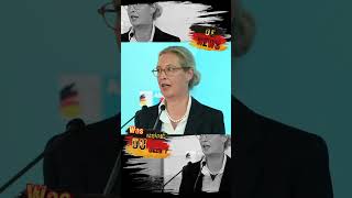 Asylgesetz ändern deutschland news nachrichten politik new shorts afd weidel alice asyl [upl. by Fitzhugh]