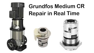 Mechanical Seal PS10 for Grundfos pump Grundfos Small CR Shaft Seal Repair in Real Time 2024 [upl. by Keli]