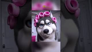 Husky quotRevengesquot Chihuahua You Made Me Mad 😂 dogs revenge chihuahua husky tiktok viralvideo [upl. by Enicar]