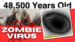 Can Zombie Viruses Cause The Next Pandemic [upl. by Ahseken]