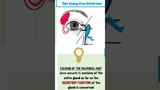 lacrimal apparatus anatomy ophthalmology [upl. by Acirre451]