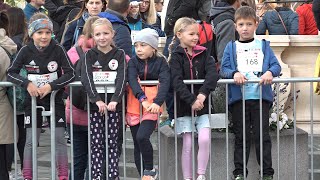 Pferscherlauf in Brunn am Gebirge [upl. by Anaerdna]