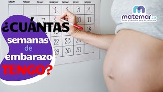 ¿Cómo calcular cuántas semanas de embarazo tengo  Maternarco [upl. by Careaga]