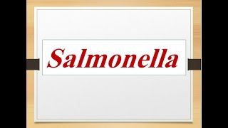 Classification of salmonella medically important species quotMedical microbiology [upl. by Rochester]