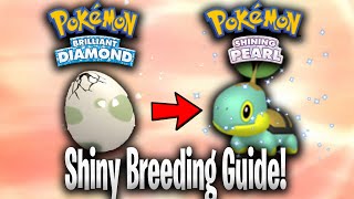 How to breed SHINY POKEMON in Brilliant Diamond and Shining Pearl BDSP Masuda Method Guide [upl. by Llerrehc]