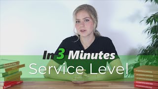 Service Level  Supply Chain in 3 Minutes [upl. by Asp]