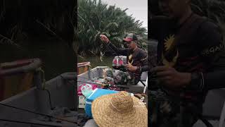 Udang sg belatfyp viralvideo udanggalah [upl. by Hank]