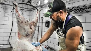 How to skin a Lamb  The Bearded Butchers [upl. by Llenol]