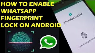 How to Use WHATSAPP FINGERPRINT LOCK on Android [upl. by Verda221]