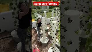 Aeroponic vertical farming 🌱 aeroponics towergarden verticalfarming support garden ngo shorts [upl. by Annawoj564]