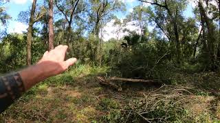 Land Cleared West Plymouth DeLand homeless [upl. by Retsbew]