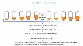 Microbial Assay of Calcium Pantothenate Vitamin B5 [upl. by Ulrich]