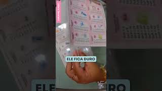 Conheça um Pouco Sobre a Plastificação com Polaseal diy lidianeseveriano aprenderartesanato [upl. by Atileda]