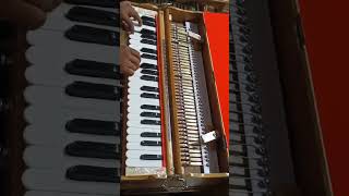 7013501189 Two lines German jublete reeds one line Indian reeds shorts shortsvideo harmonium [upl. by Oirad265]