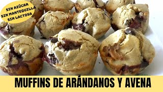 MUFFINS DE AVENA Y ARÁNDANOS [upl. by Nereil433]