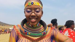 Beautiful Zulu Maidens  Cultural Dancing 🇿🇦 [upl. by Nymzaj548]