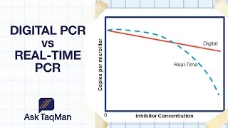 Digital PCR vs Realtime PCR  Ask TaqMan 30 [upl. by Edouard]