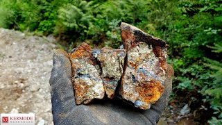 Copper Zone Has Massive Chalcopyrite In Quartz Veins Lucky Strike Property KLM [upl. by Aicirtam]