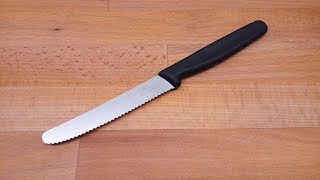 Sharpening serrated knife [upl. by Ahsemit]