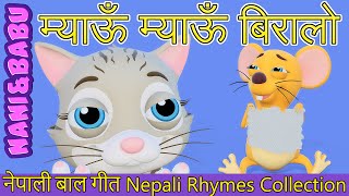 Meow Meow Biralo  Myau Myau Biralo  Nepali Rhymes Collection  लोक प्रिय नेपाली बाल गीत [upl. by Airda]