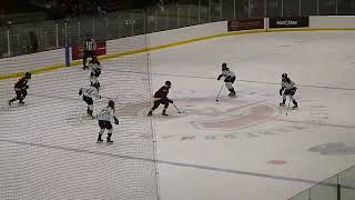 Sarah Bujold of PWHL Montreal scores vs Toronto 12024 [upl. by Odlawso]