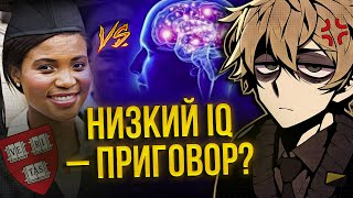 Что важнее образование или интеллект Низкий IQ — приговор  нонконформист 💢 [upl. by Viehmann]