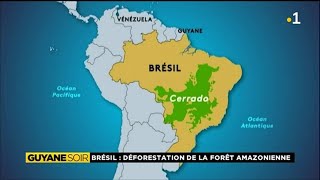 Brésil Déforestation de la forêt amazonienne [upl. by Brunhild618]