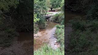 Caney Fork creek off Pinedake Rd downstream side [upl. by Corwin789]