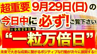 ”一粒万倍日”の本日中に必ずご覧ください⚠️【9月29日日大大吉日】エネルギー活性化※未来で大きな成果に繋がるポジティブな行動が次々に展開されていく！【奇跡が起こる高波動エネルギー・邪気祓い動画】 [upl. by Nilorac100]