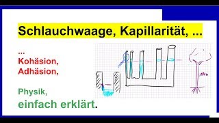 Schlauchwaage Kapillarität Kohäsion Adhäsion Physik [upl. by Nalat]