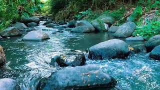 Relaxing birds amp water sounds nature river sounds for sleep meditation relaxation flowing water [upl. by Lashar]