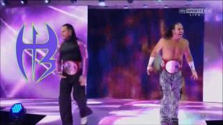 THE HARDY BOYZ RETURN ENTRANCE AS TAG TEAM CHAMPIONS 2017 [upl. by Leisha408]