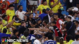 Video shows Uruguayan soccer stars brawl with Colombia fans at Copa America semifinal [upl. by Yila]