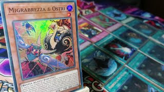 COMBATTENTI DI ARIA FLOOWANDEREEZE DECK PROFILE MARZO 2024 MIGLIOR DECK BUDGET  YuGiOh ITA [upl. by Enneirda]