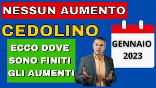 🔴 NESSUN AUMENTO 👉 CEDOLINO GENNAIO 2023 🤦 TUTTO RIMANDATO [upl. by Yerxa52]