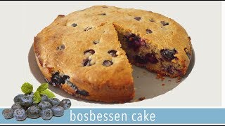 Bosbessencake met havermout  RENSKE VISSER GEWICHTSCONSULENT [upl. by Nangatrad597]