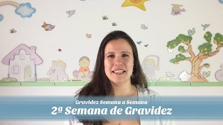 2ª Semana de gravidez [upl. by Kurland]