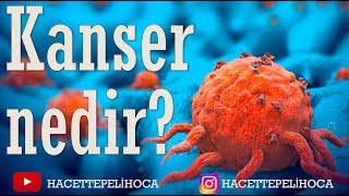 86  ÜREME  10 KANSER NEDİR   TYT  10 Sınıf  hacettepelihoca [upl. by Krahmer]