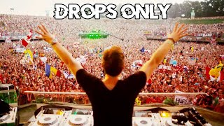 Hardwell Tomorrowland 2013 Drops Only [upl. by Noah646]