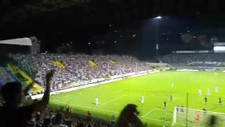 Željo  AIK atmosfera na utakmici [upl. by Nadroj]