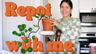 Lets repot houseplants Plant Care Hang Out [upl. by Hirschfeld]