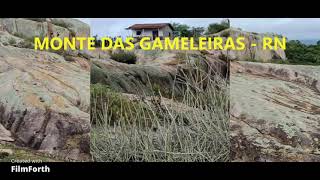 AULA DE CAMPO NO MONTE DAS GAMELEIRAS [upl. by Sitsuj]