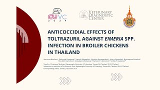 Anticoccidial effects of toltrazuril against eimeria spp infection in broiler chickensin thailand [upl. by Notrub766]