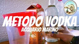 Acquario Marino  Metodo VODKA [upl. by Lemkul]